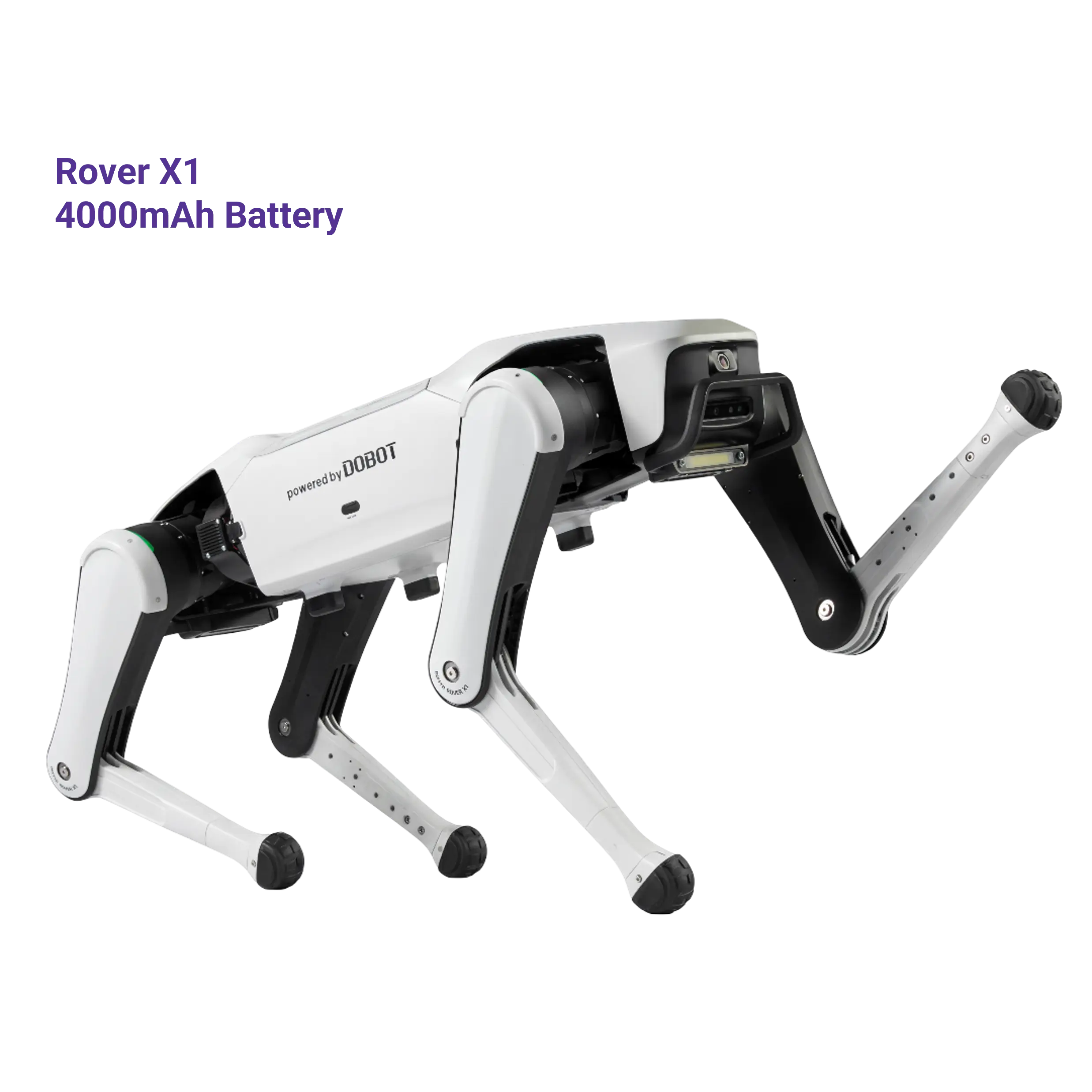 Dobot Rover X1 Series | Robot Dog